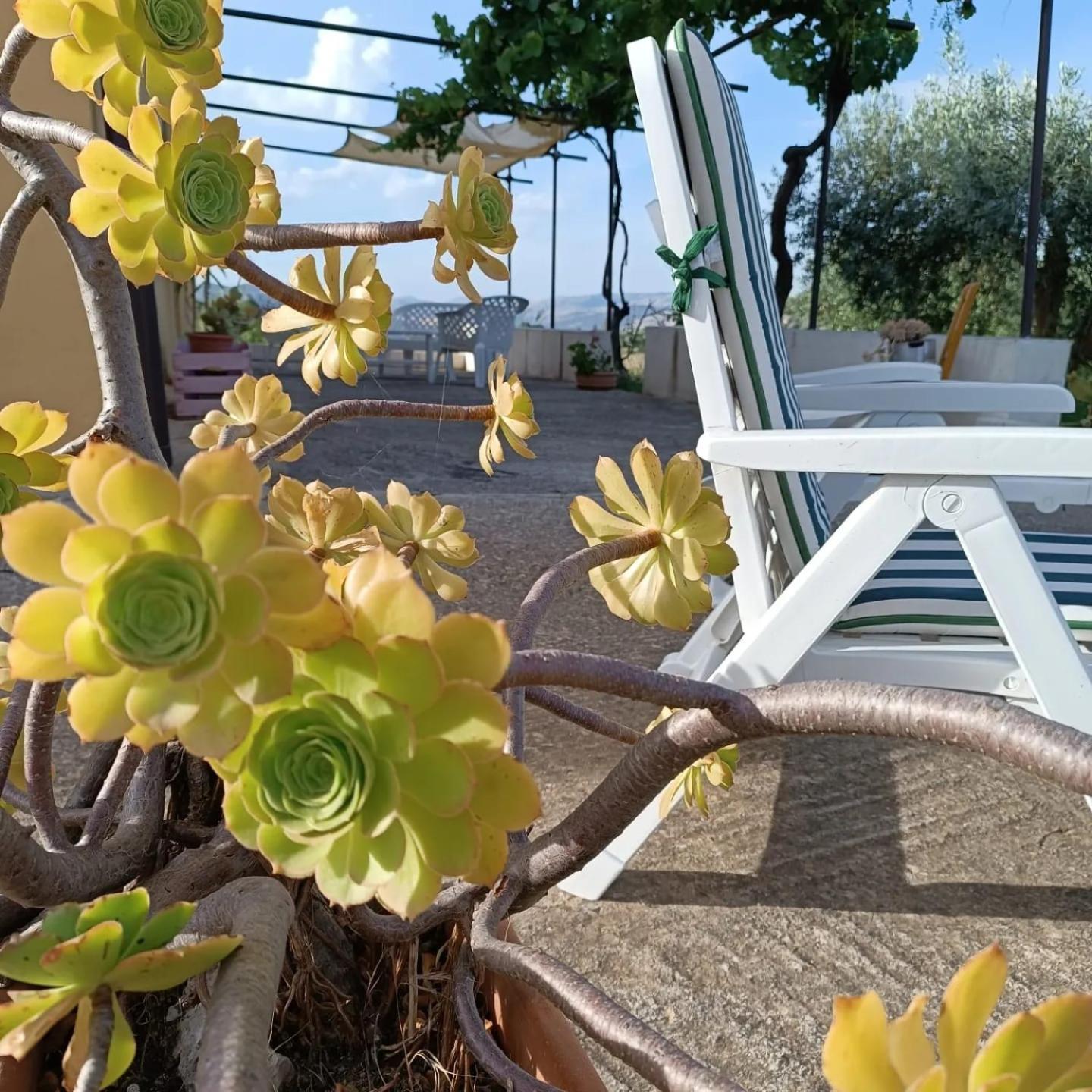 Casa Vacanze Sicilia Casteltermini Екстер'єр фото